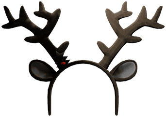 Reindeer Antlers