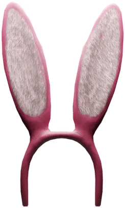 Pink Bunny