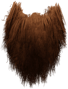 St. Patrick's Beard