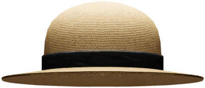 Black Straw Hat
