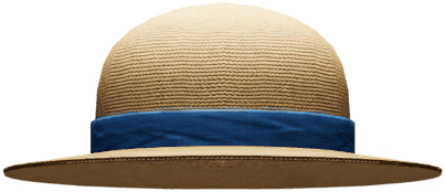 Blue Straw Hat