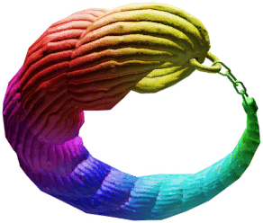 Rainbow Shell Bracelet