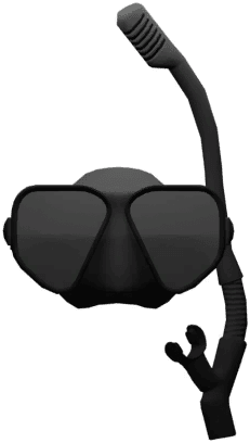 Snorkel Mask